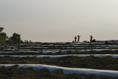 Farmers working at farm during sunset