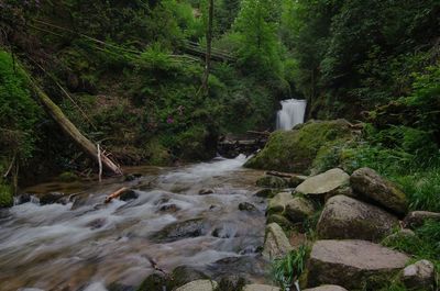 Stream flowing through rocks in forest