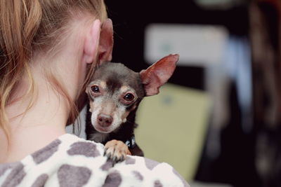 Close-up portrait of dog