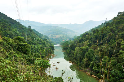 Scenic view of river amidst trees against sky