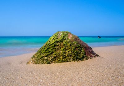 Scenic view of beach against clear blue sky