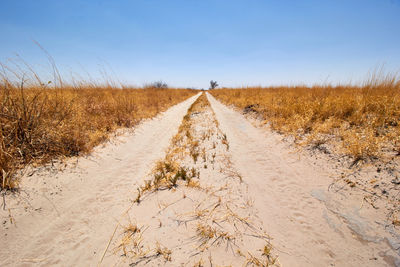 Dirt road amidst field against sky