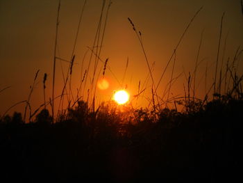 Scenic view of sunset