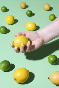 High angle view of person with fruits