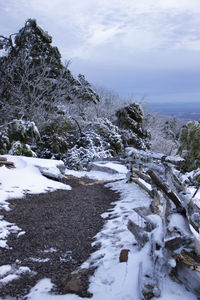 Scenic view of snow covered land and sea against sky