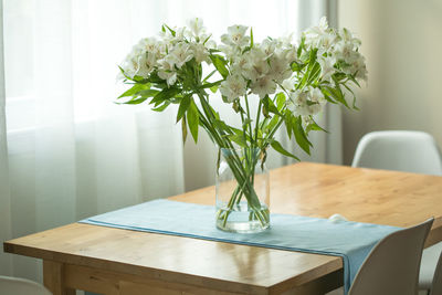 Potted plant on table at home