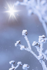 Close-up of snow against bright sun
