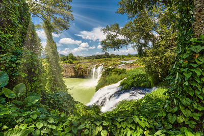 Scenic view of waterfall in forest