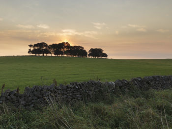 Scenic view of field against sky during sunset