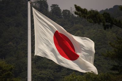 Close-up of flag against trees