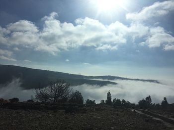 Scenic view of landscape against sky