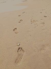 View of sandy beach