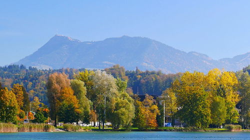 Trees on landscape against sky during autumn