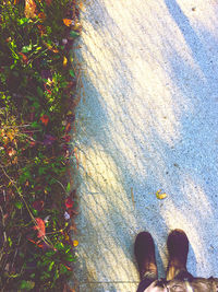 Low section of woman standing by plants