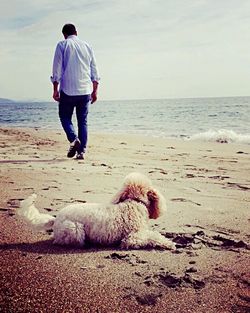 Full length rear view of man on beach against sky