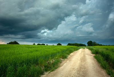 Sandy dirt road, green grain and storm clouds on the sky