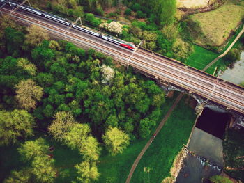 High angle view of railway amidst trees in the country