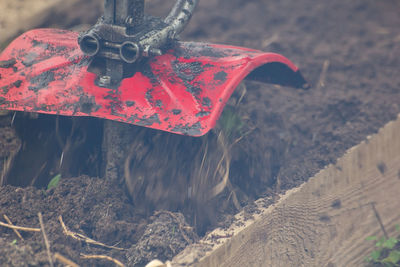 Close-up of wet red ball hanging on land