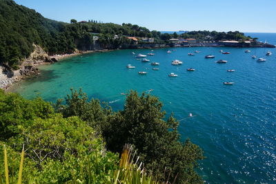 High angle view of sailboats in sea