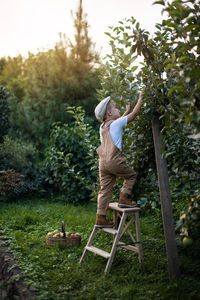 Man with arms raised on field in yard