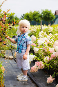 Full length of cute girl standing on flowering plants