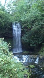 Scenic view of waterfall in forest