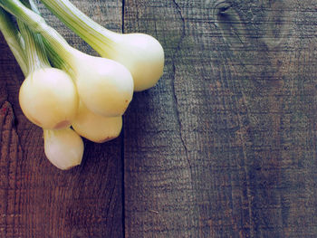 High angle view of scallions on table