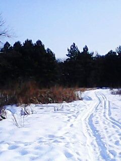 SCENIC VIEW OF SNOW COVERED LANDSCAPE