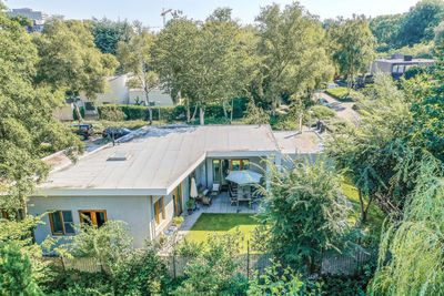 High angle view of trees and buildings