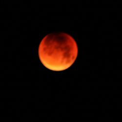 Close-up of red light against white background