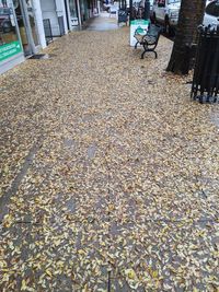 High angle view of fallen leaves on street in city