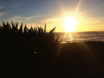 Close-up of silhouette plants against sea during sunset