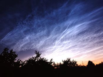 Low angle view of silhouette trees against sky during sunset