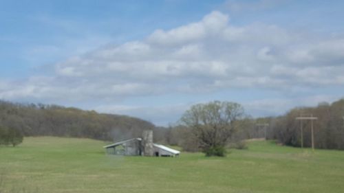 Scenic view of grassy field against sky