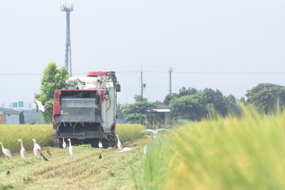 Panoramic view of agricultural field against clear sky