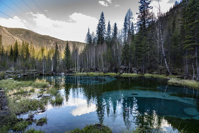 Scenic view of lake in forest against sky