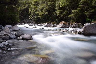 Scenic view of waterfall in forest