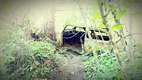 Dirt road in abandoned house