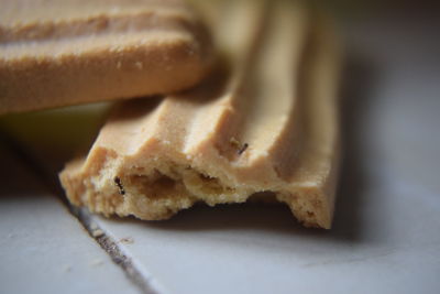 Close-up of bread in plate