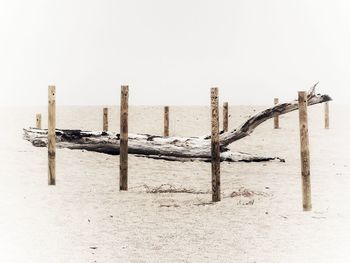 Wooden posts on beach against clear sky