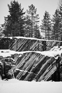 Snow covered land and trees against sky