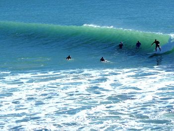 High angle view of people surfing in sea