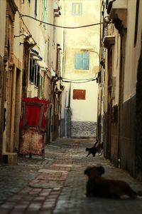 Narrow alley with buildings in background