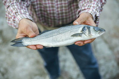 Senior man showing caught fish