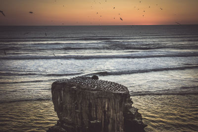 Scenic view of sea against sky during sunset