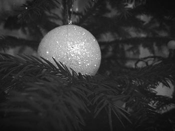 Close-up of fire against blurred background