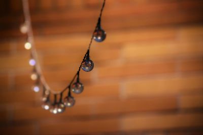 Close-up of necklace