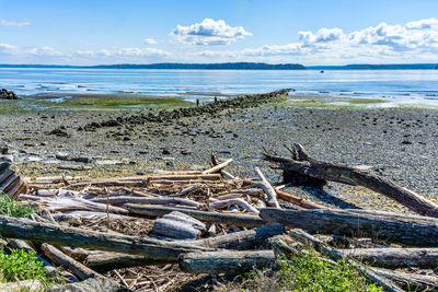 The tide is out in west seattle, washington.