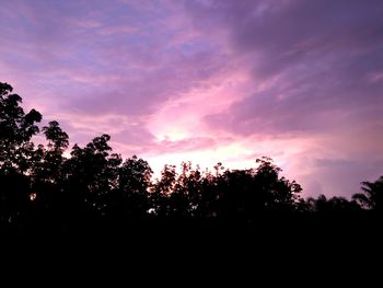 Low angle view of silhouette trees against sky during sunset