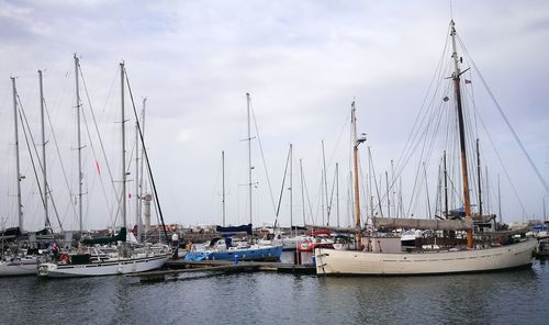 Sailboats moored on harbor against sky